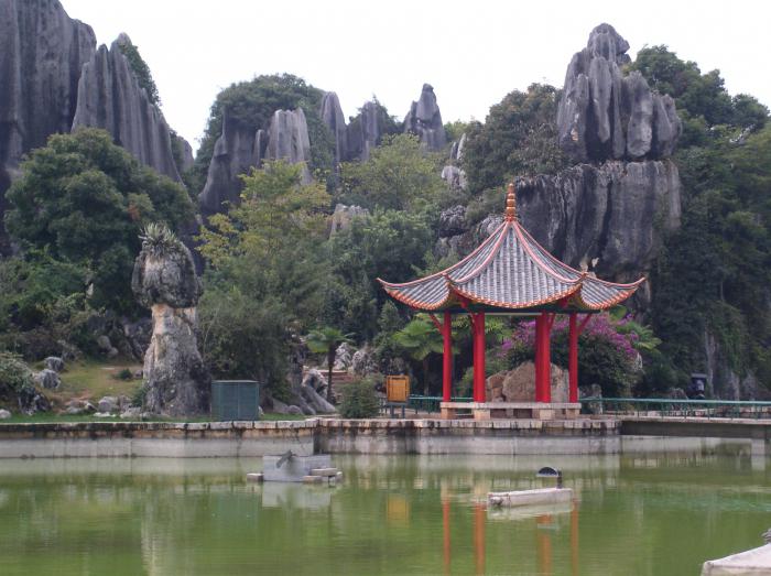 Kitajska - narava in odnos do nje Flora in favna Kitajske