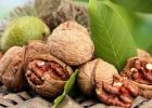 Виды и свойства жирных орехов Самые полезные орехи топ