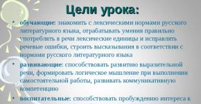 Russian literary language