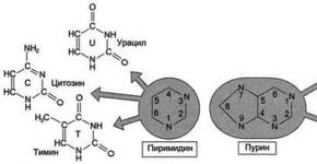 ساختار اسید دئوکسی ریبونوکلئیک (DNA)